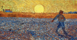 The Sower and the seeds (Homily)