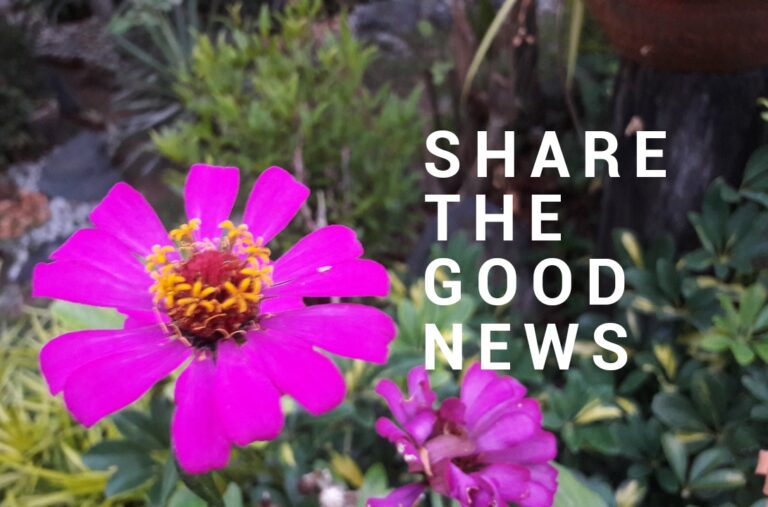 We have a New Page! “What Retreatants Say”