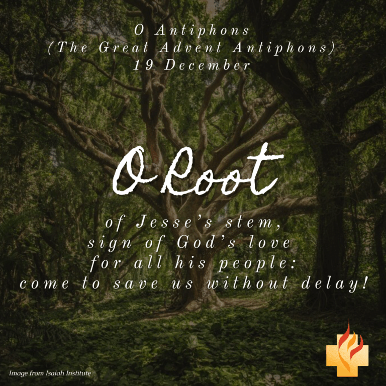O Root